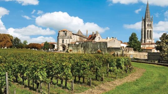 international wine travel