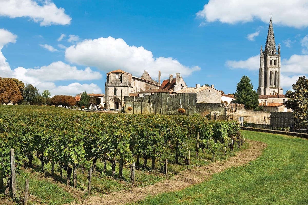 international wine travel