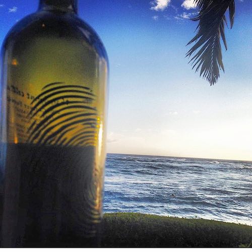 hawaii-thumbprint
