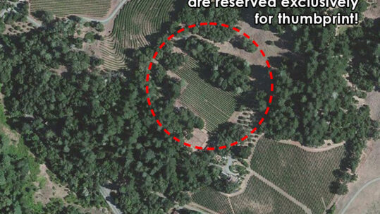 Lisa's Vineyard reserves the top block for thumbprint cellars.