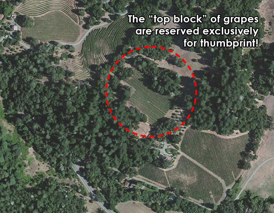Lisa's Vineyard reserves the top block for thumbprint cellars.