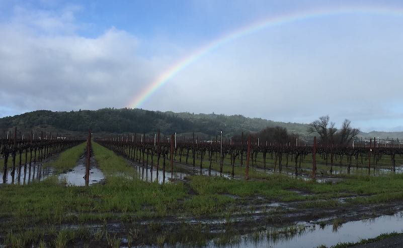 we source grapes from local vineyards